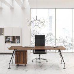 Acheter ELOSI Bureau de Direction