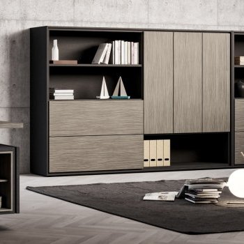 Acheter FINE Armoire de bureau