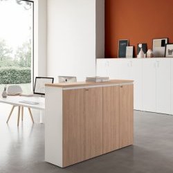 Acheter VIF Armoire de bureau