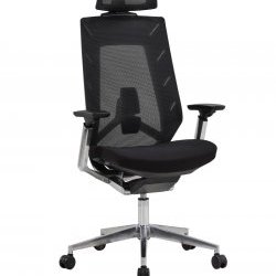 Acheter EVE Fauteuil de Direction
