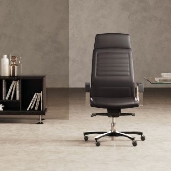 Acheter Collection LEO : Fauteuils de Direction