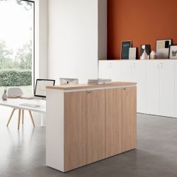 Acheter VIF Armoire de bureau