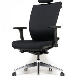 Acheter BAAKA Fauteuil de direction